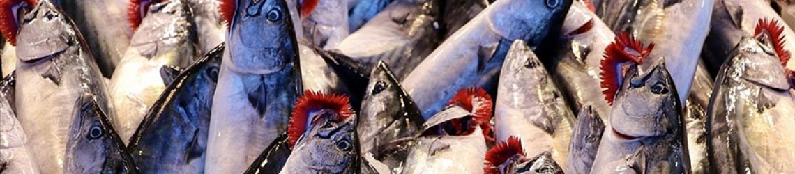 Balığın derisi, kıkırdağı, kılçığı bile sağlığa faydalı