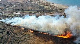 İznik Gölü kıyısındaki sazlık alanda yangın çıktı